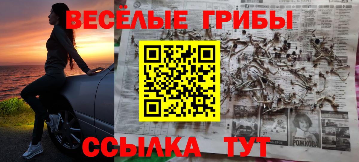 Новый Уренгой  Псилоцибиновые грибы мицелий  Вход с VPN 